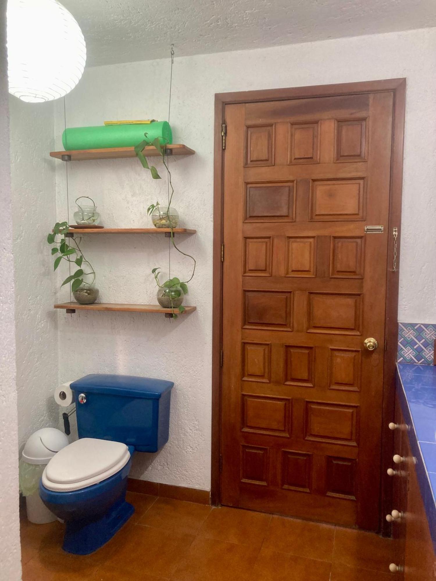 Casa Azul Las Hamacas مدينة مكسيكو المظهر الخارجي الصورة